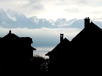 20141109 140953 copy  9 Nov-another gray day